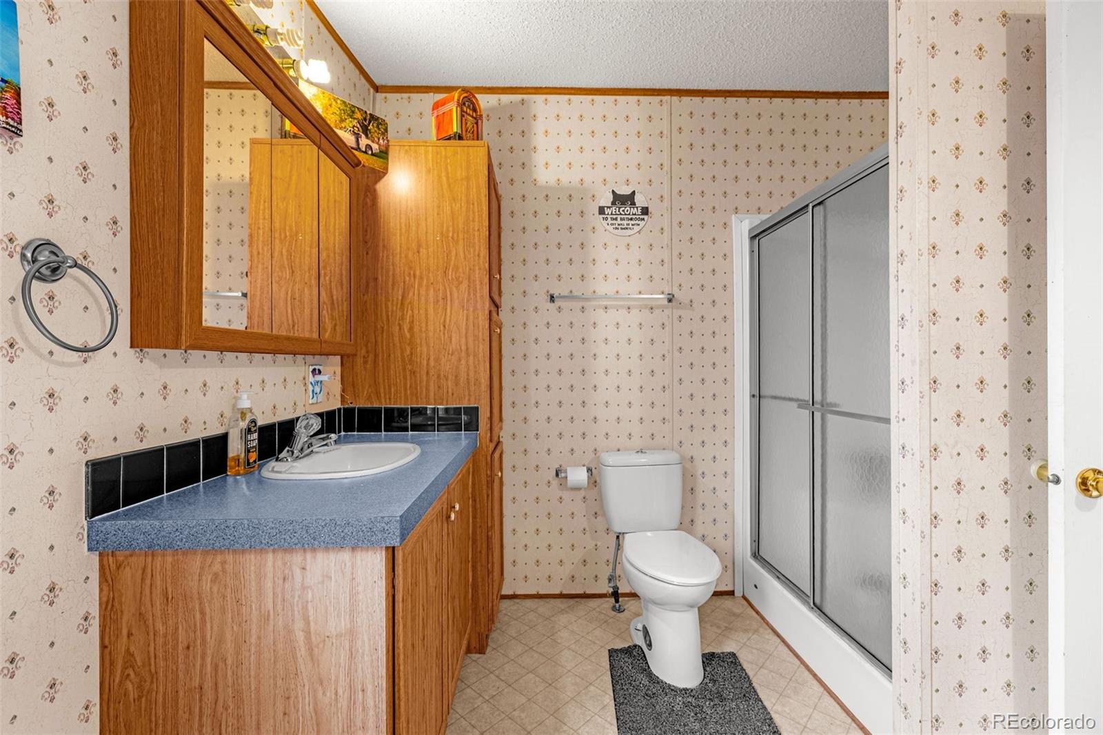 MLS Image #20 for 213 s 1st street,victor, Colorado