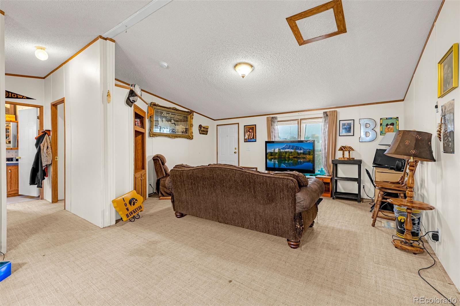 MLS Image #5 for 213 s 1st street,victor, Colorado