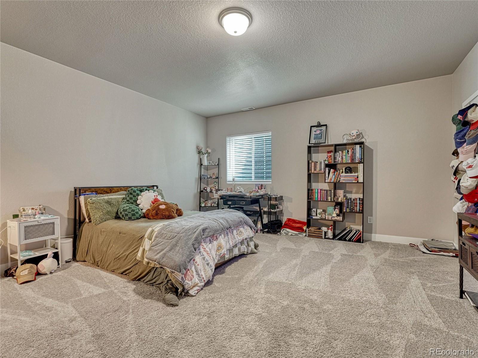MLS Image #36 for 6830  enclave vista loop,colorado springs, Colorado