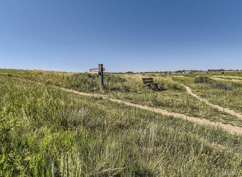 MLS Image #13 for 16427  standing elk drive,parker, Colorado