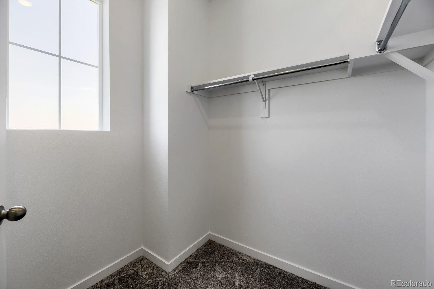 MLS Image #8 for 16427  standing elk drive,parker, Colorado