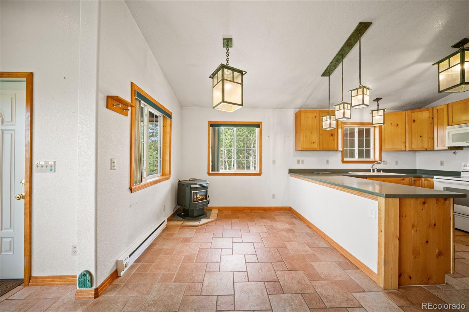 MLS Image #10 for 1205  arapahoe creek trail,florissant, Colorado