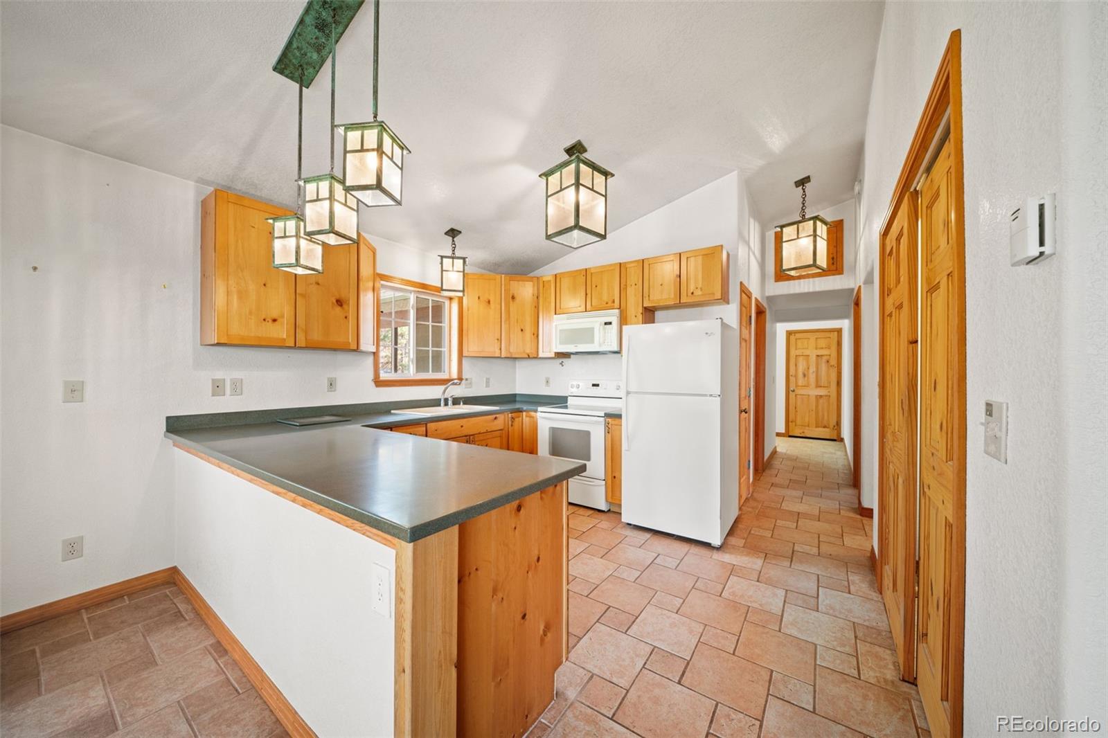 MLS Image #11 for 1205  arapahoe creek trail,florissant, Colorado