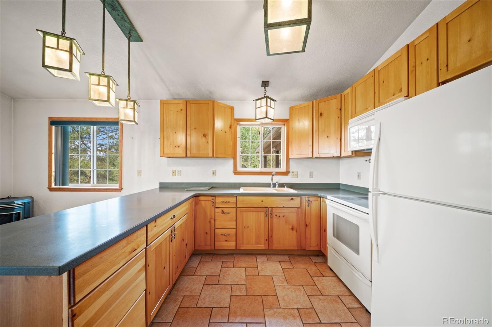 MLS Image #12 for 1205  arapahoe creek trail,florissant, Colorado