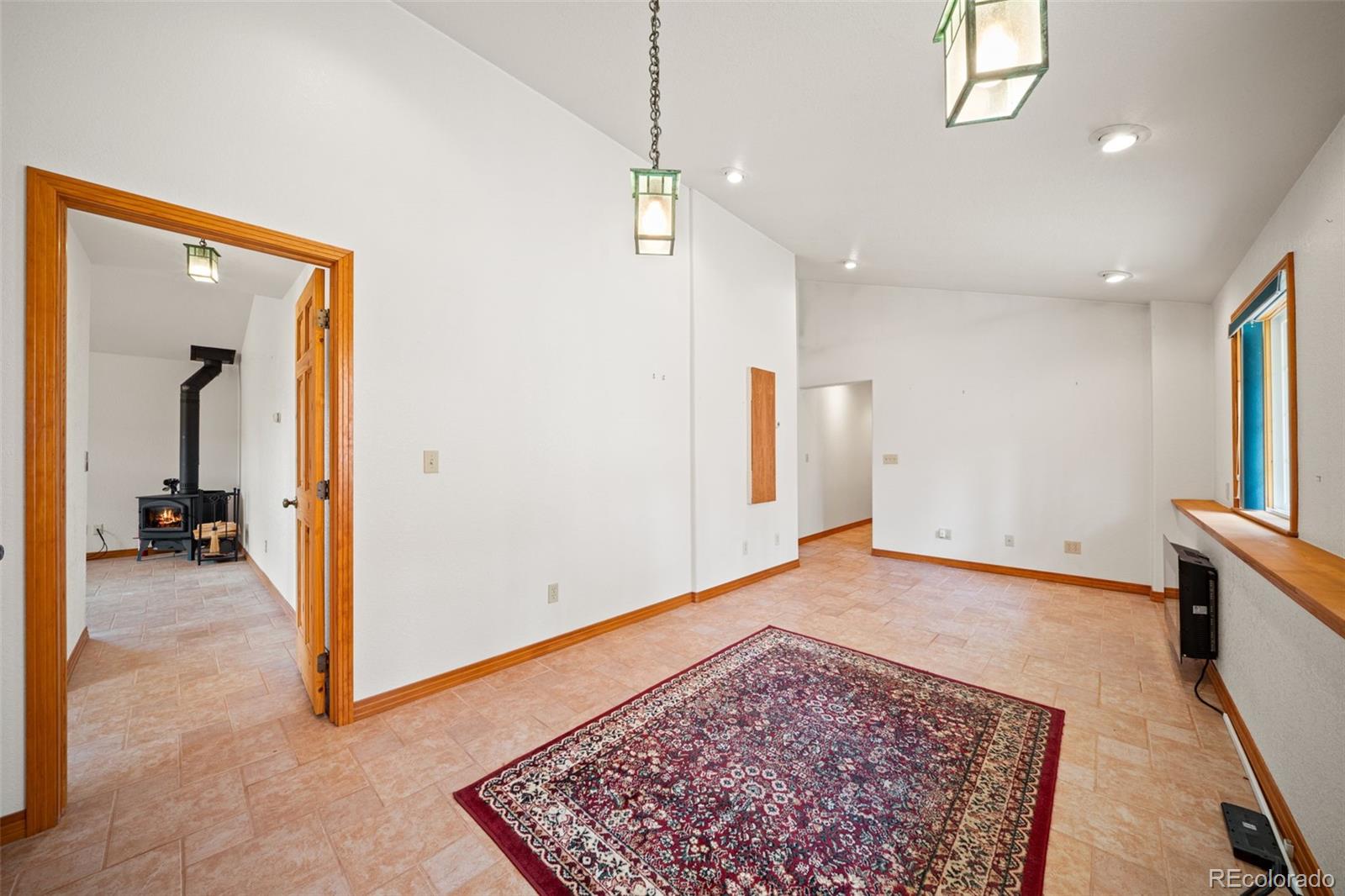 MLS Image #15 for 1205  arapahoe creek trail,florissant, Colorado