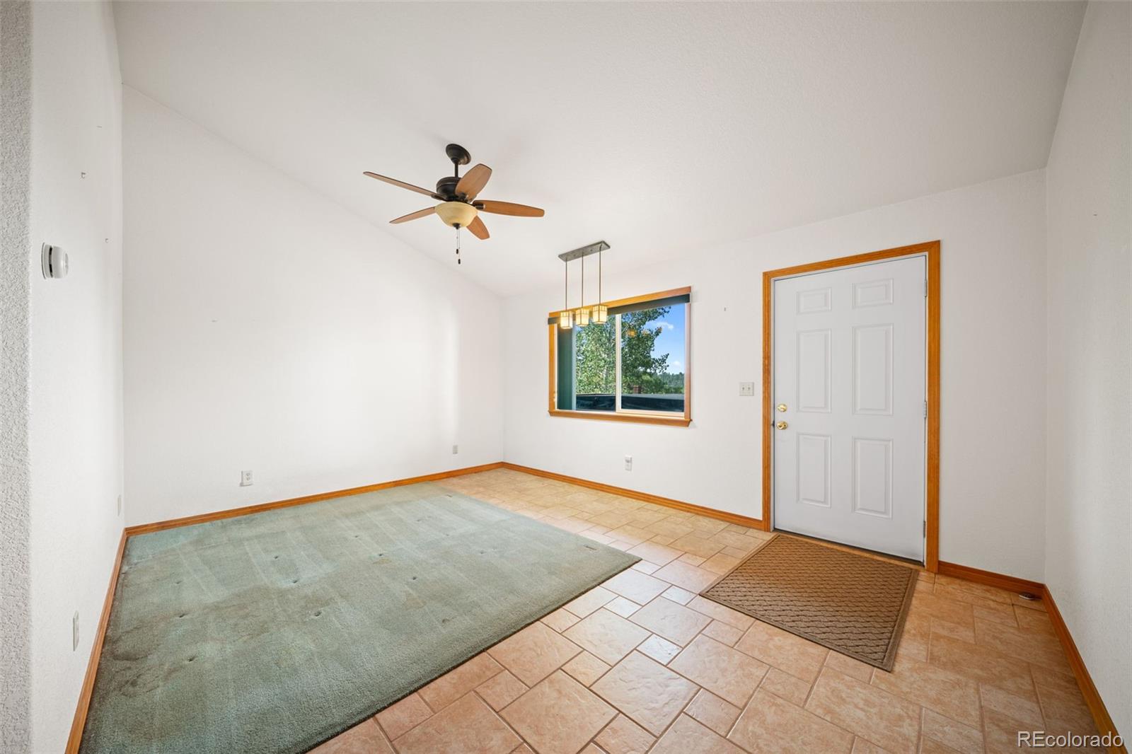 MLS Image #16 for 1205  arapahoe creek trail,florissant, Colorado