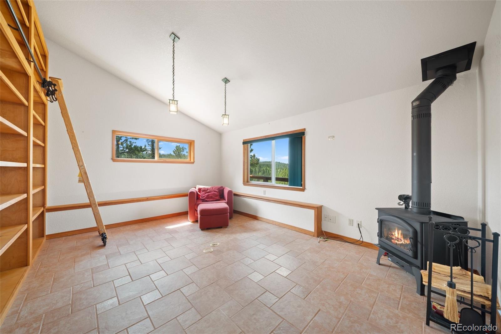 MLS Image #21 for 1205  arapahoe creek trail,florissant, Colorado