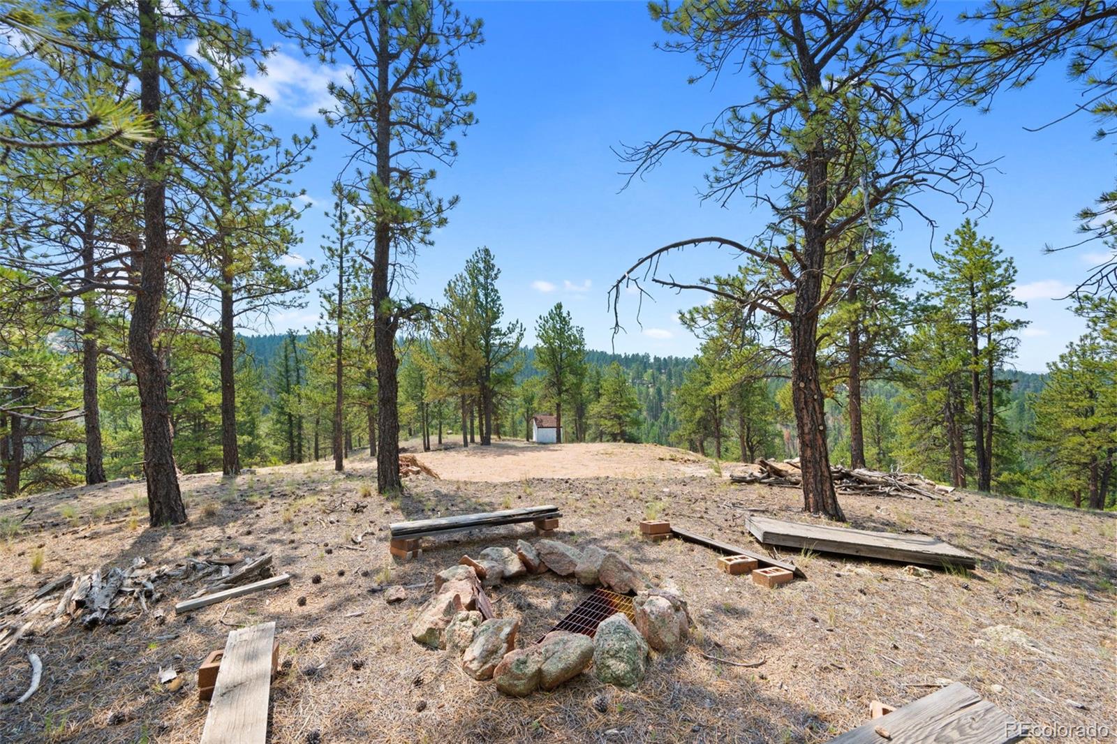 MLS Image #37 for 1205  arapahoe creek trail,florissant, Colorado