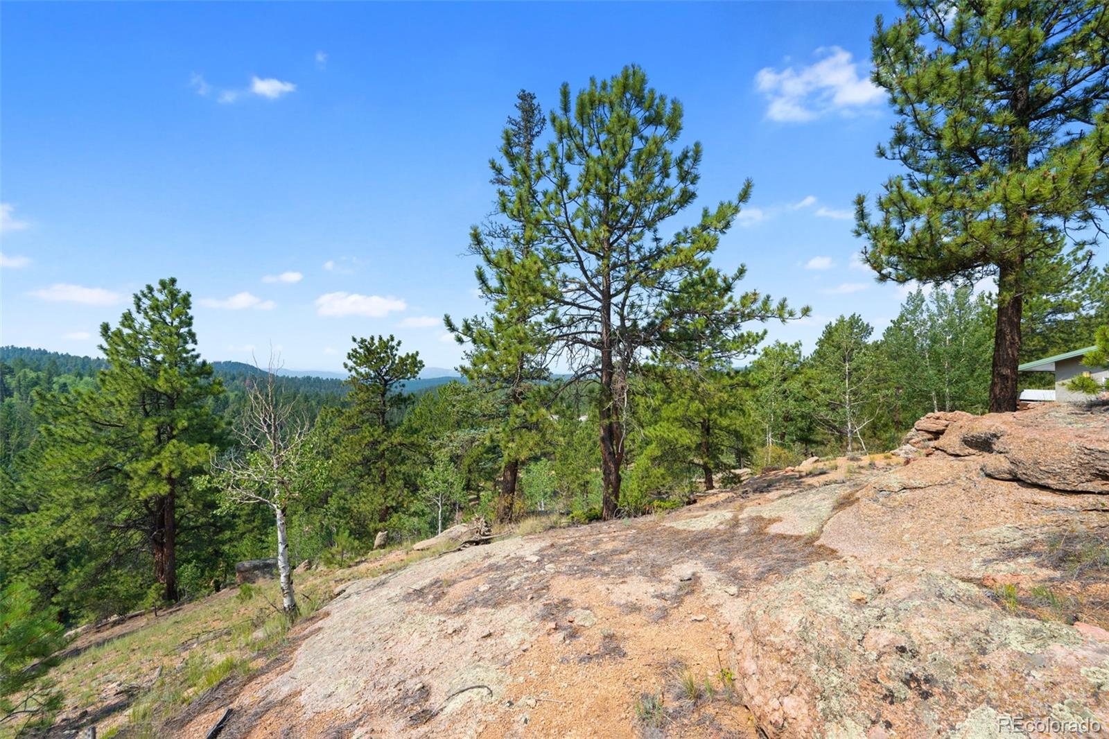 MLS Image #38 for 1205  arapahoe creek trail,florissant, Colorado