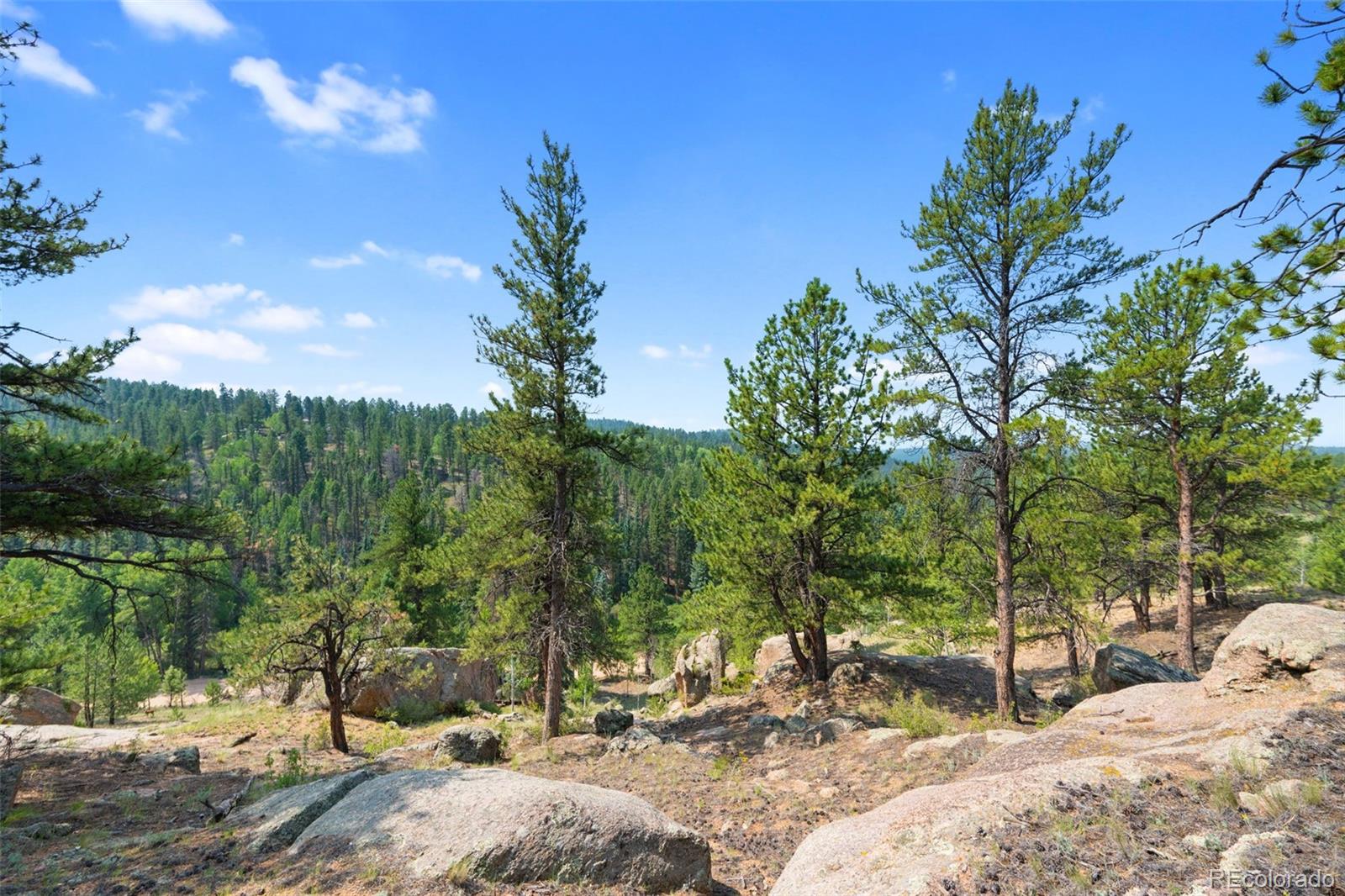 MLS Image #39 for 1205  arapahoe creek trail,florissant, Colorado