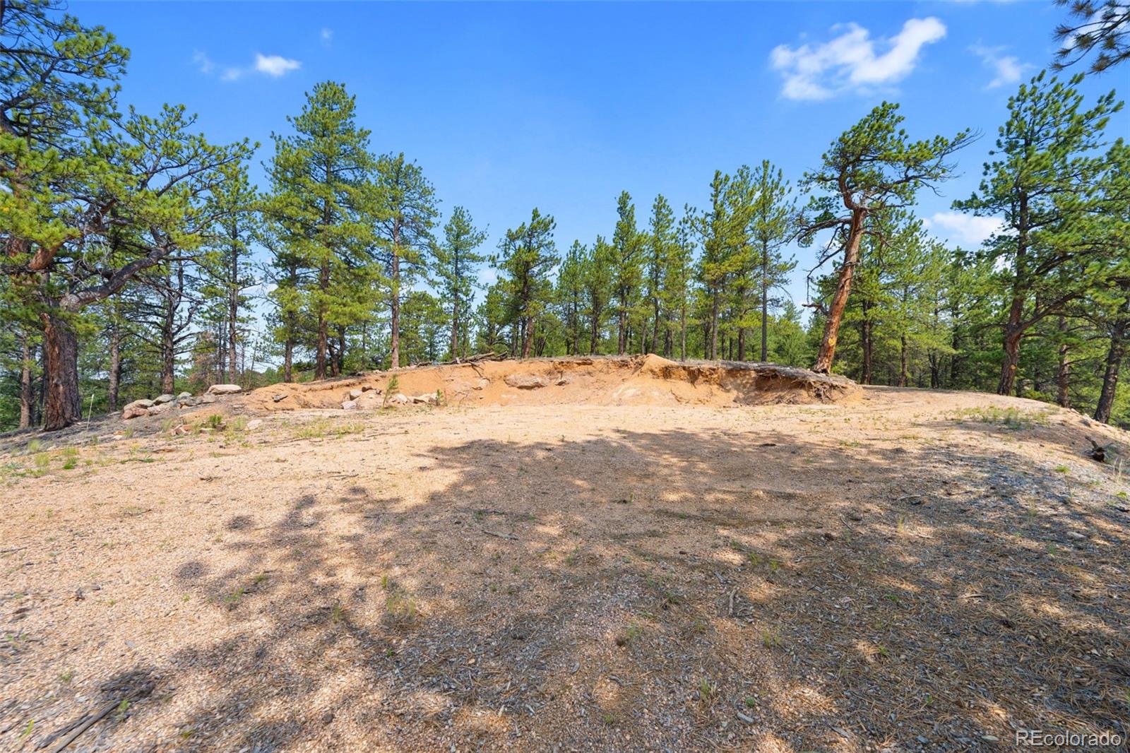 MLS Image #40 for 1205  arapahoe creek trail,florissant, Colorado