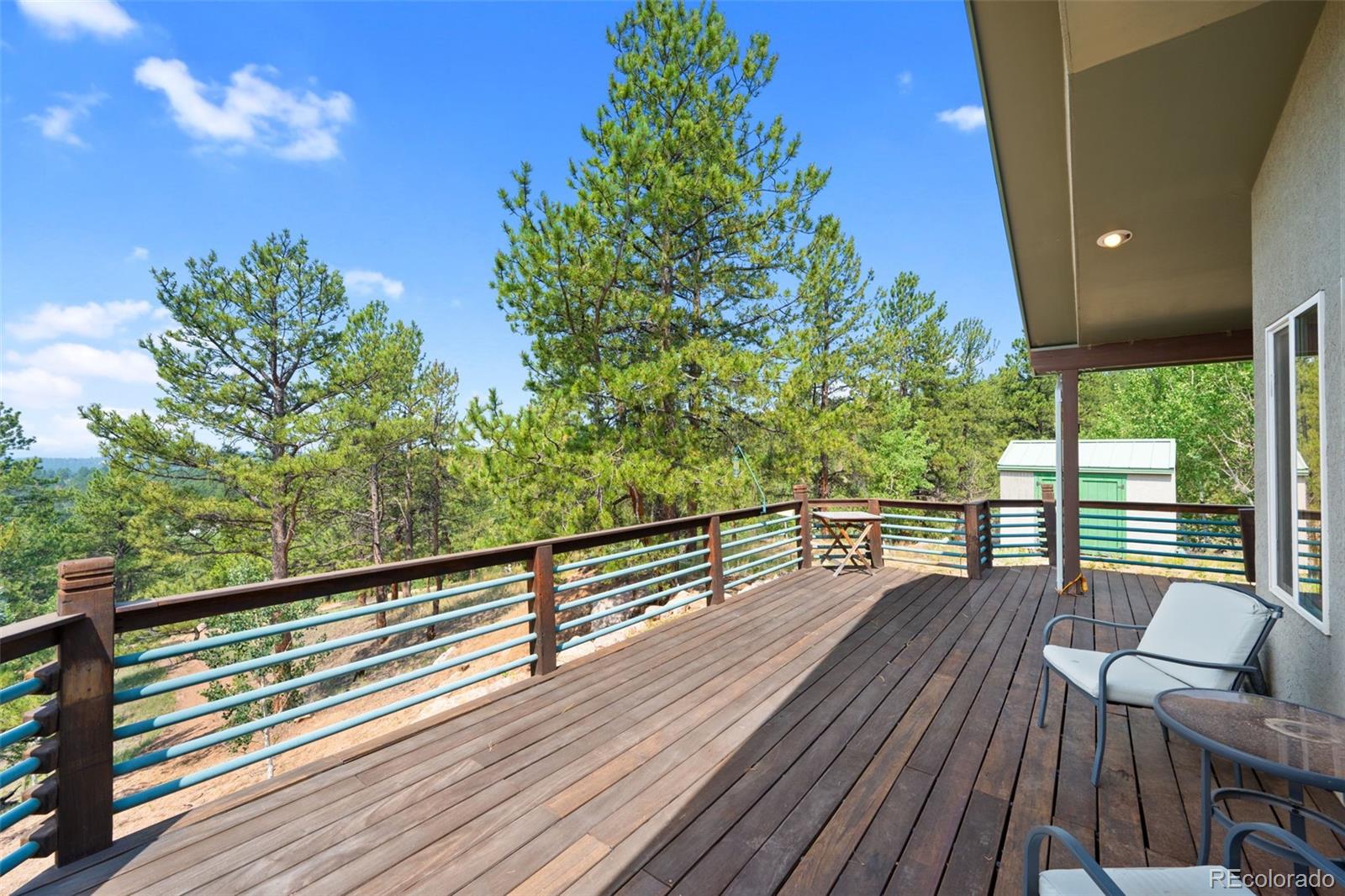 MLS Image #7 for 1205  arapahoe creek trail,florissant, Colorado