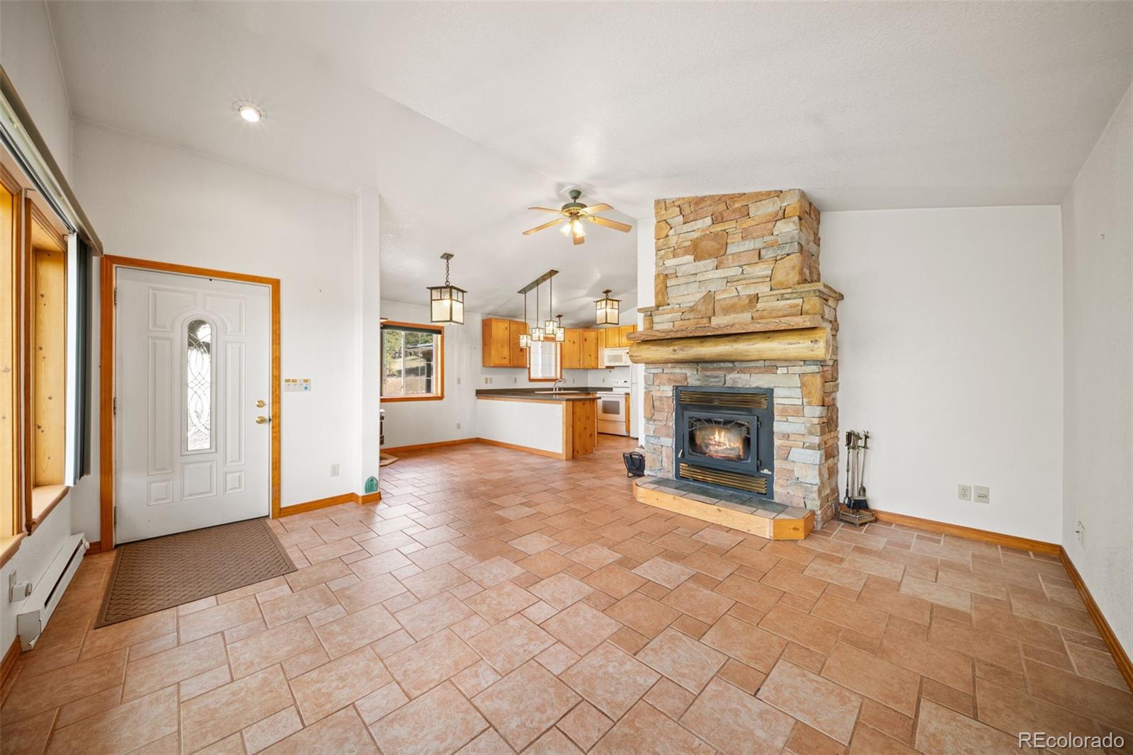 MLS Image #8 for 1205  arapahoe creek trail,florissant, Colorado
