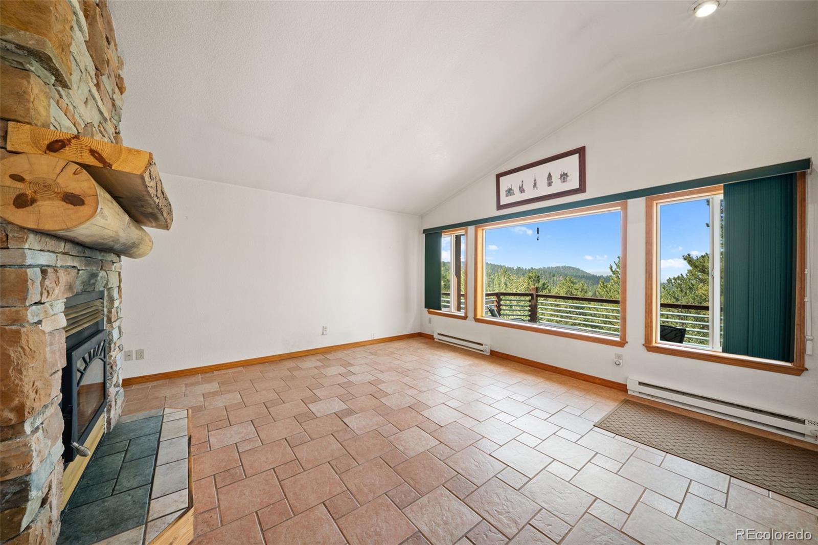MLS Image #9 for 1205  arapahoe creek trail,florissant, Colorado