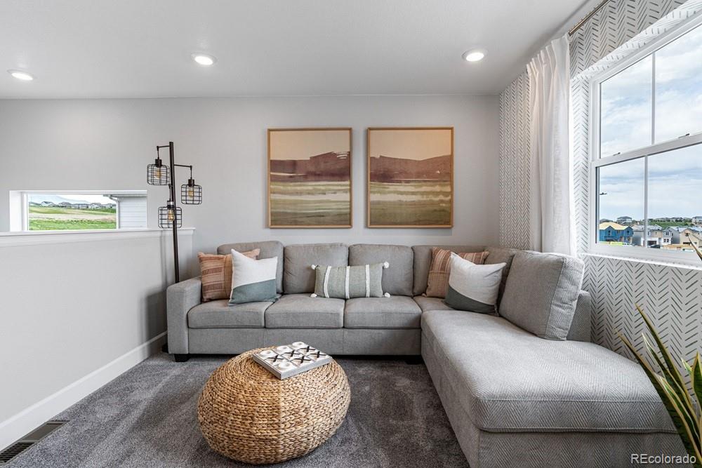 MLS Image #10 for 16916 w 92nd loop,arvada, Colorado