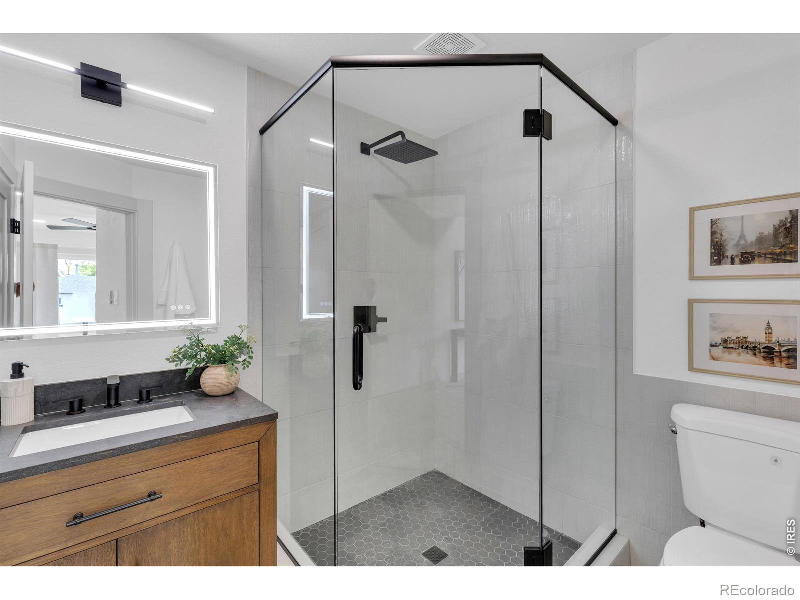 MLS Image #12 for 2935  webster street,wheat ridge, Colorado