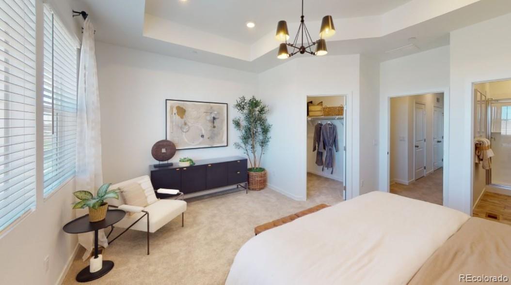MLS Image #7 for 16471  standing elk drive,parker, Colorado