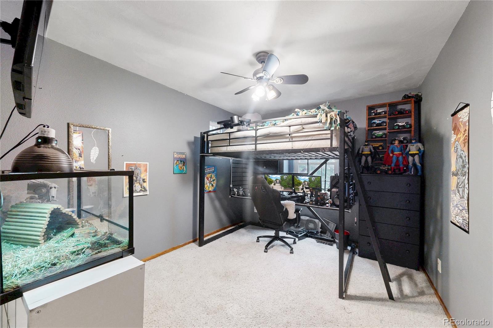 MLS Image #19 for 12524  troy street,henderson, Colorado