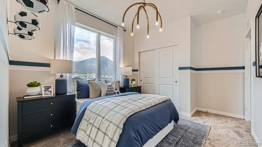 MLS Image #8 for 12571  spotted hawk street,parker, Colorado