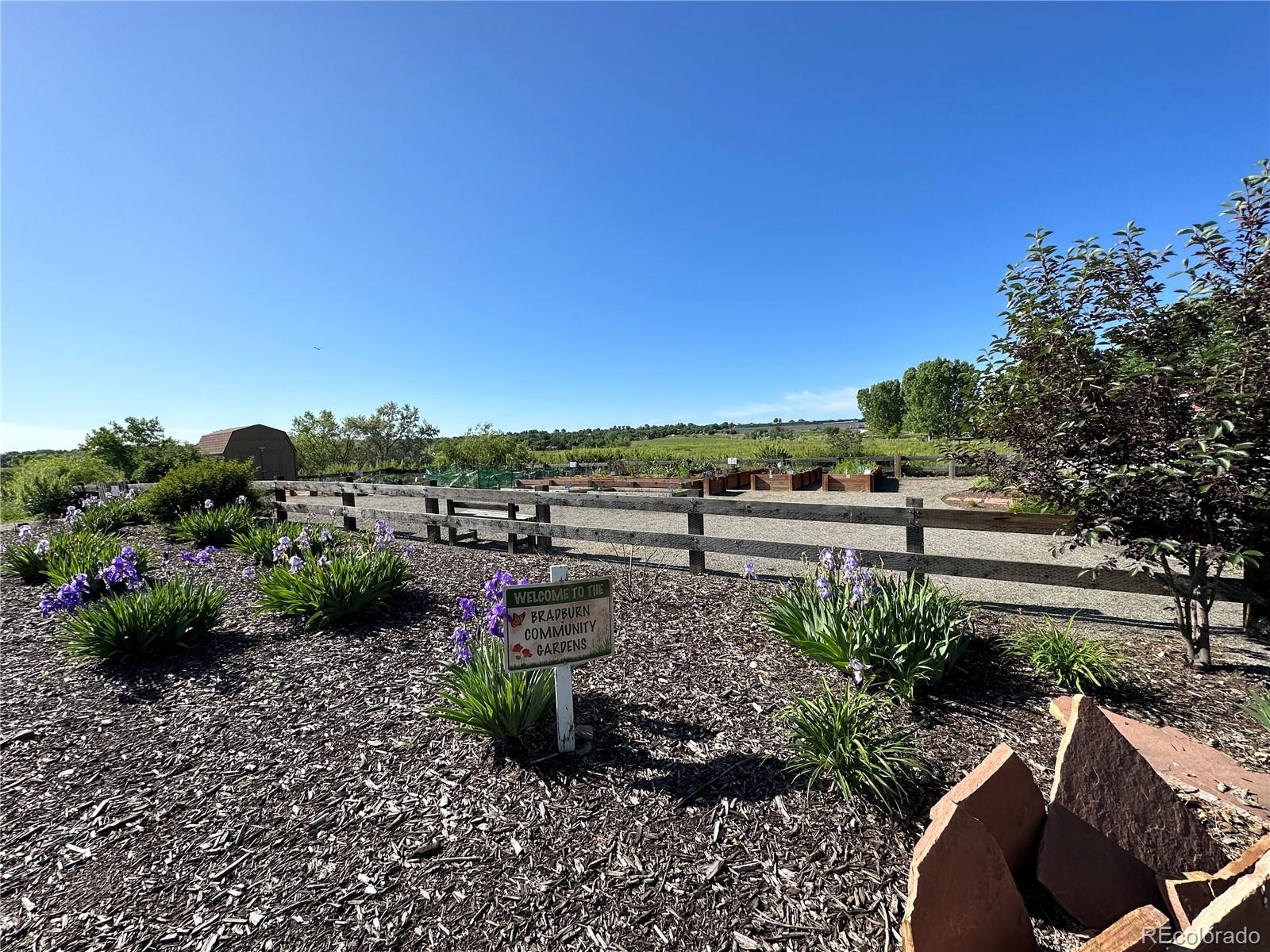MLS Image #31 for 11825  bradburn boulevard,westminster, Colorado