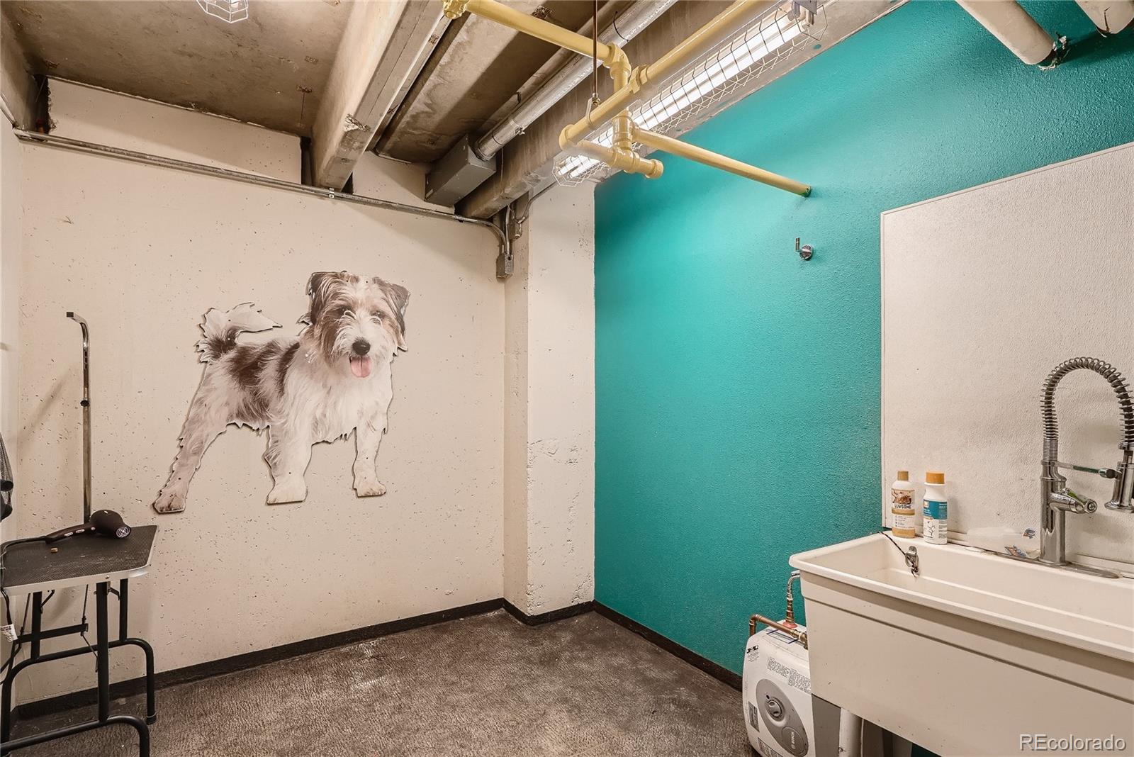 MLS Image #31 for 100  park avenue,denver, Colorado