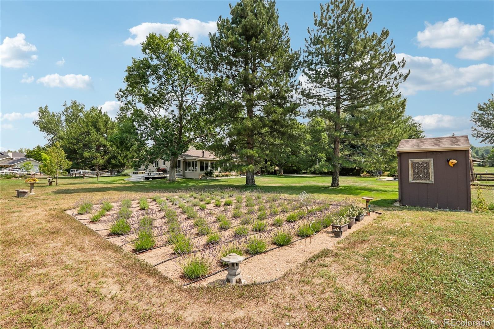MLS Image #4 for 7922  meadow lake road,niwot, Colorado