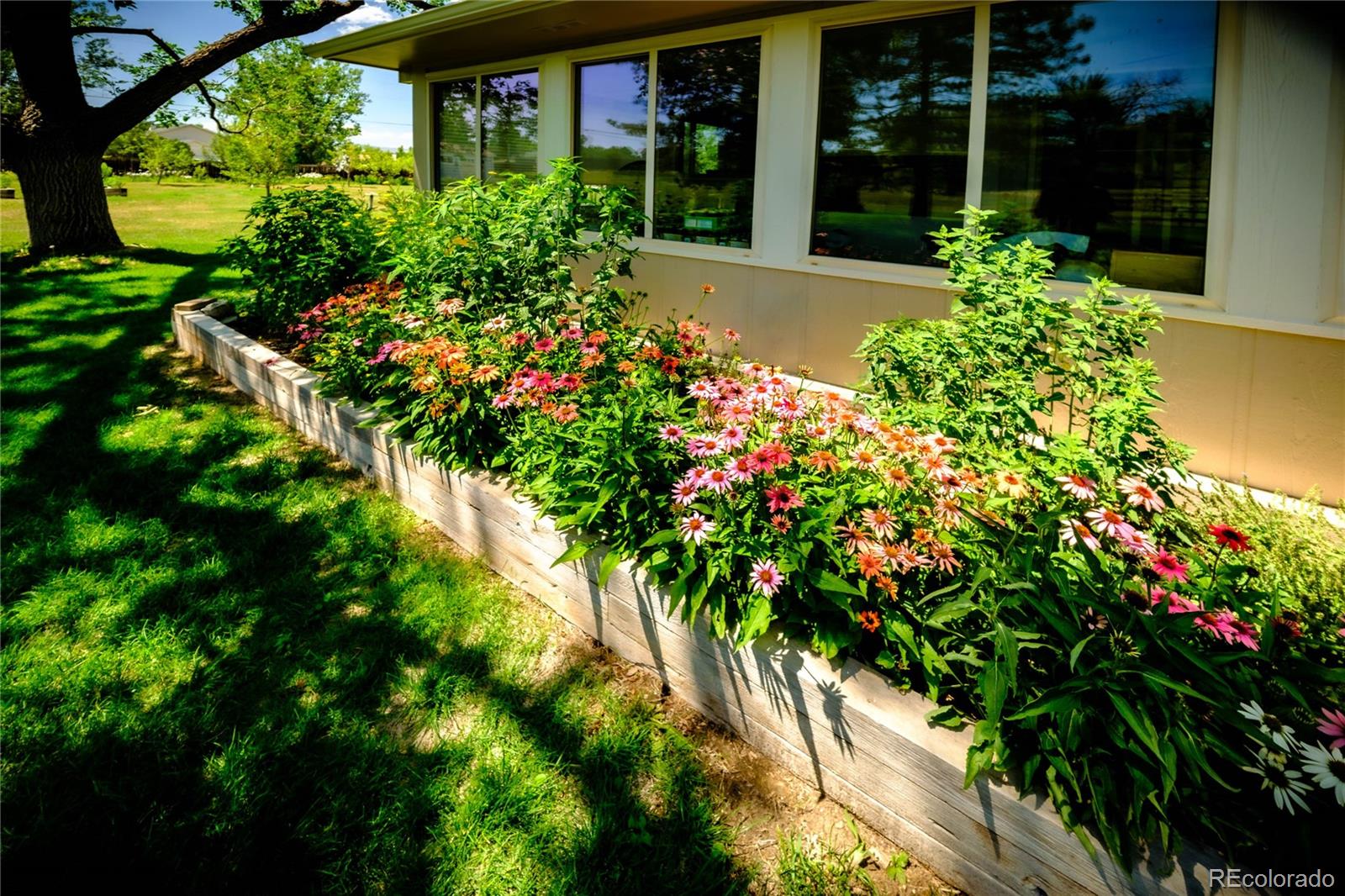 MLS Image #46 for 7922  meadow lake road,niwot, Colorado