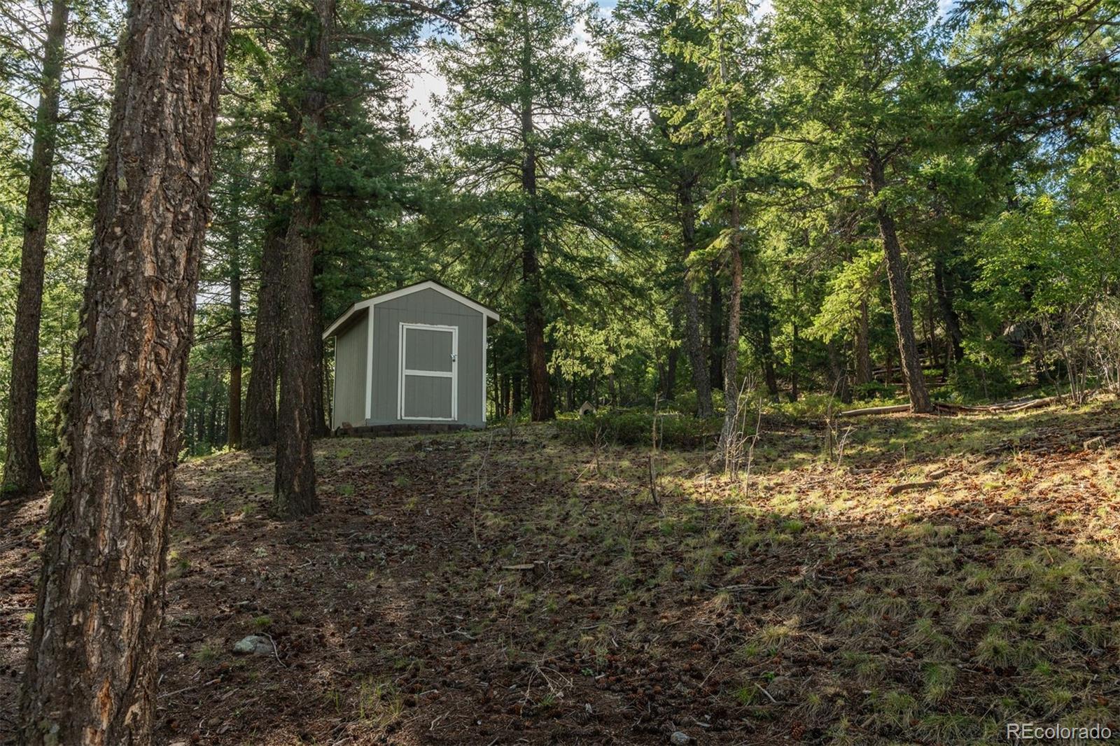 MLS Image #40 for 25806  lost cabin trail,evergreen, Colorado