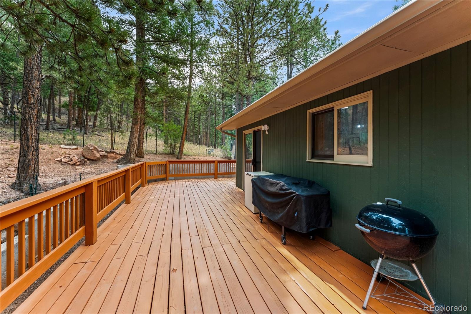 MLS Image #40 for 1178  forest hill road,woodland park, Colorado