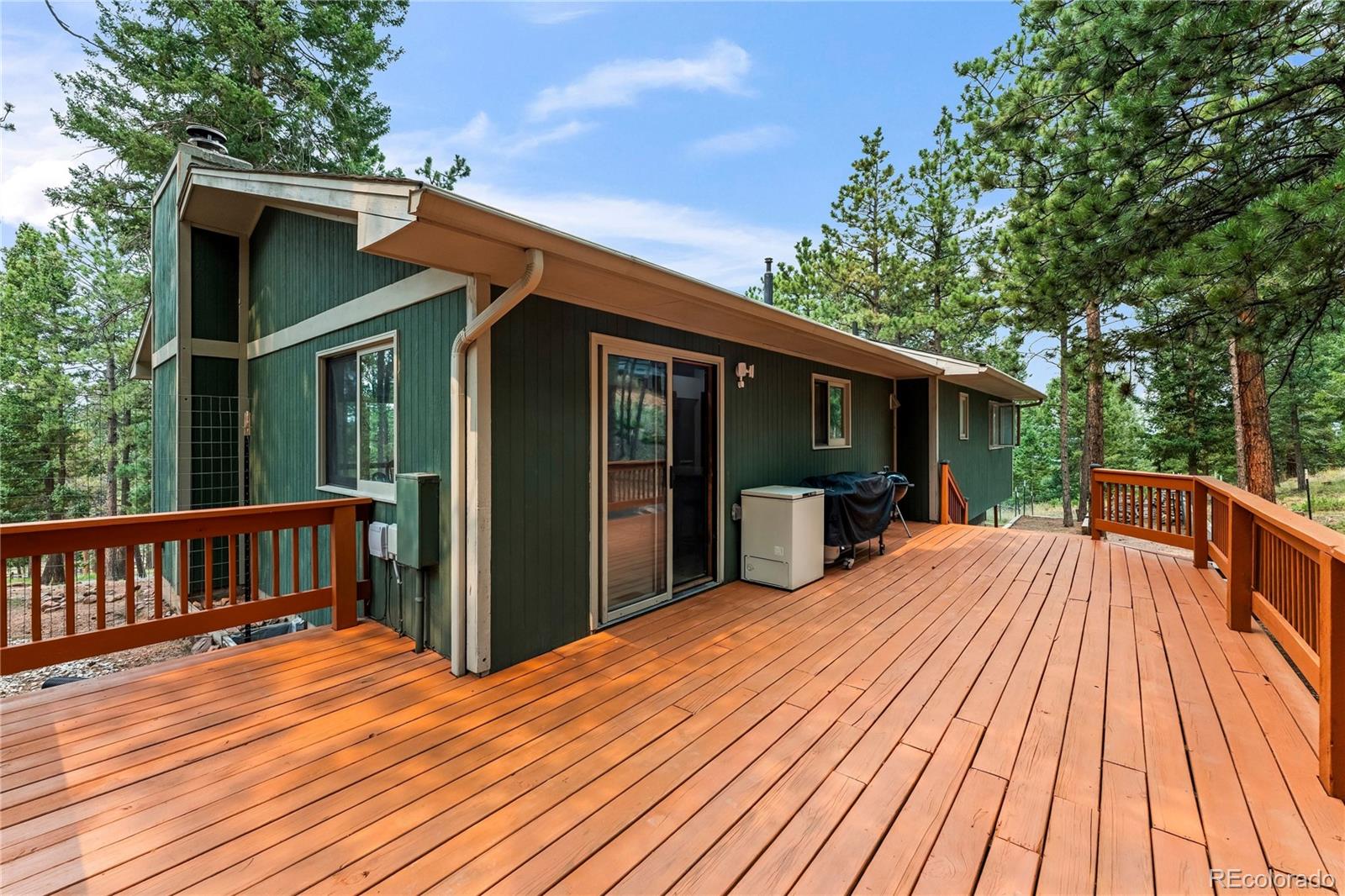 MLS Image #41 for 1178  forest hill road,woodland park, Colorado