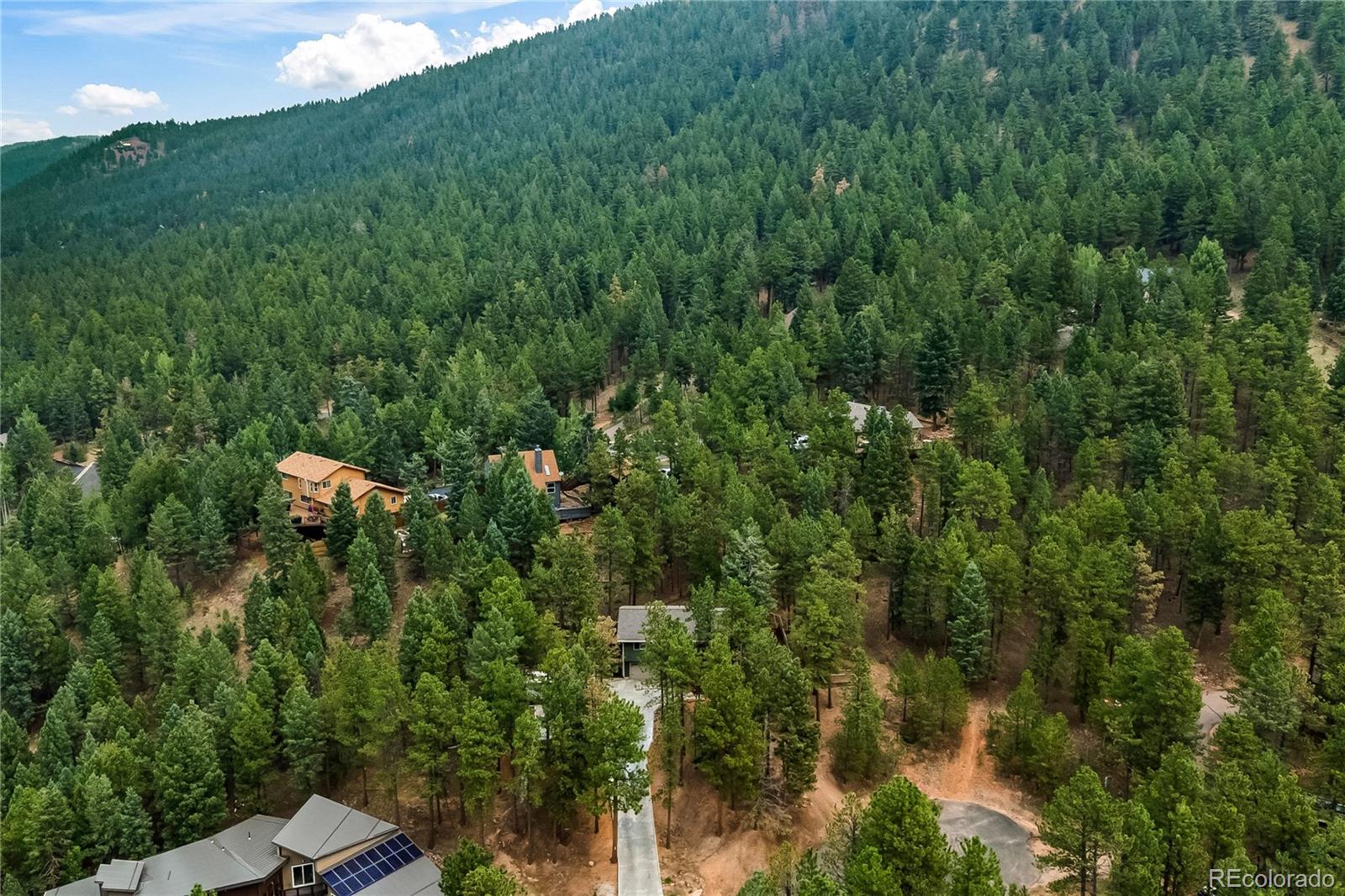 MLS Image #44 for 1178  forest hill road,woodland park, Colorado