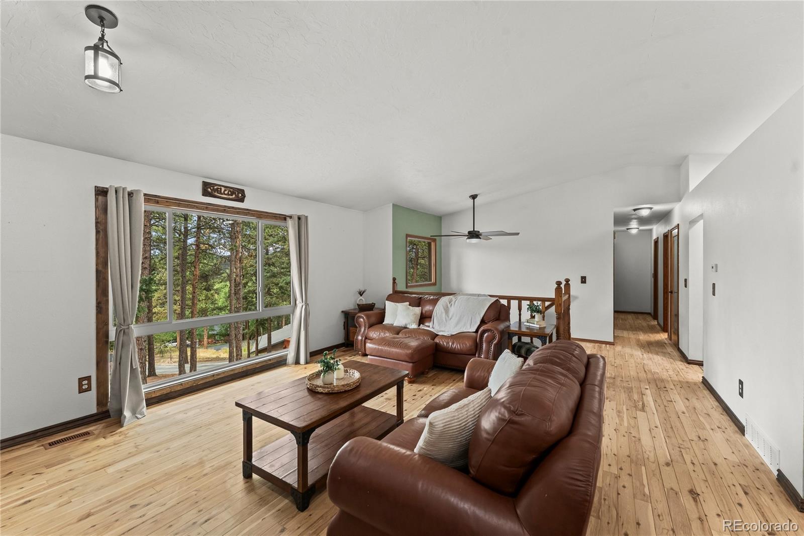 MLS Image #8 for 1178  forest hill road,woodland park, Colorado