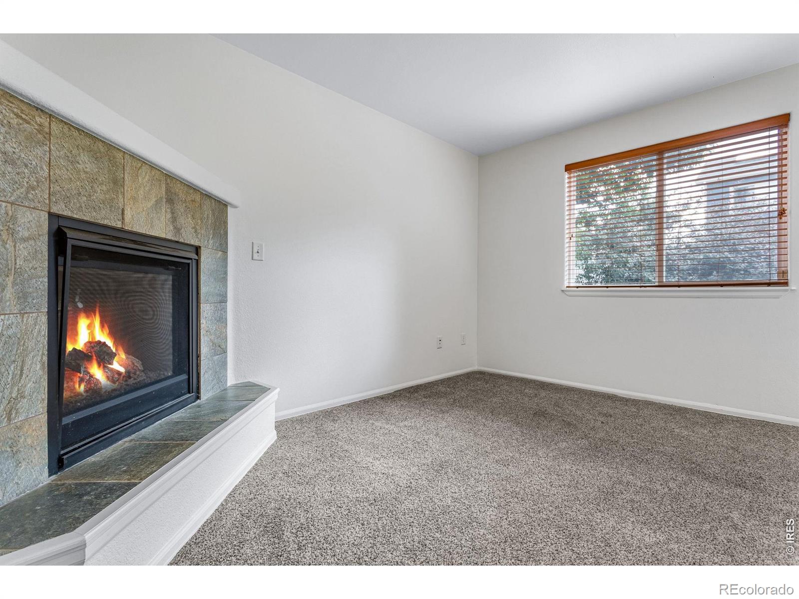 MLS Image #30 for 2457  clarion lane,fort collins, Colorado