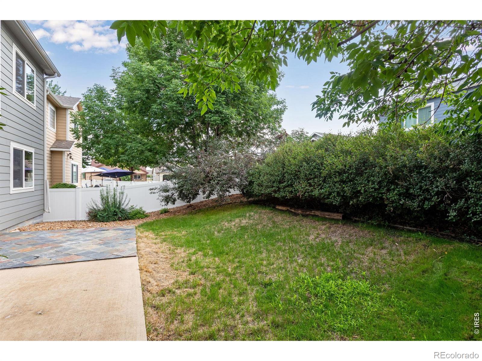 MLS Image #9 for 2457  clarion lane,fort collins, Colorado