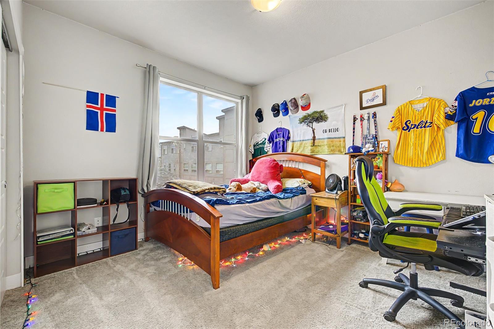 MLS Image #29 for 5229  beeler street,denver, Colorado