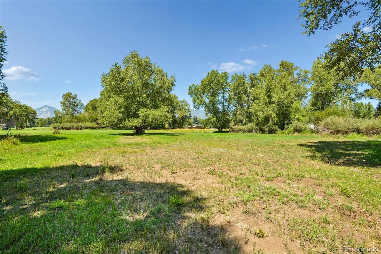 MLS Image #17 for 28835  fairway drive,buena vista, Colorado
