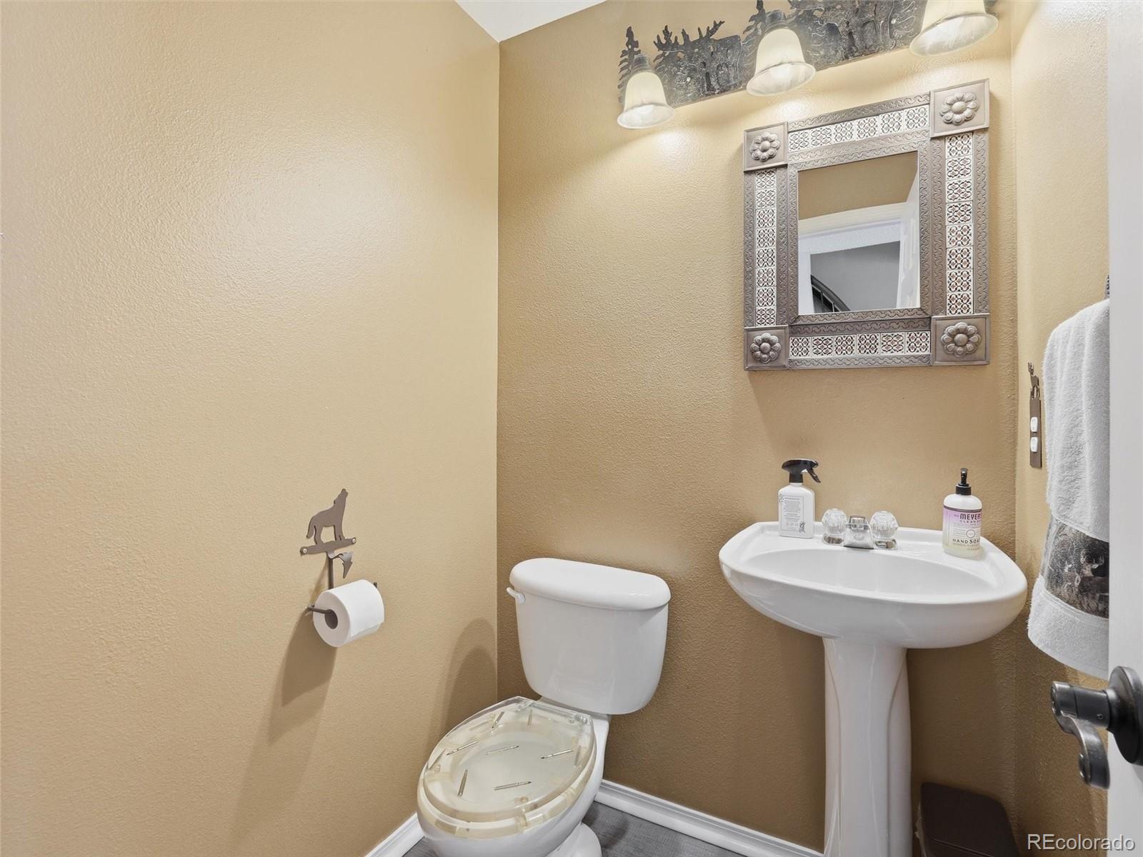 MLS Image #6 for 9310  cormorant drive,fountain, Colorado