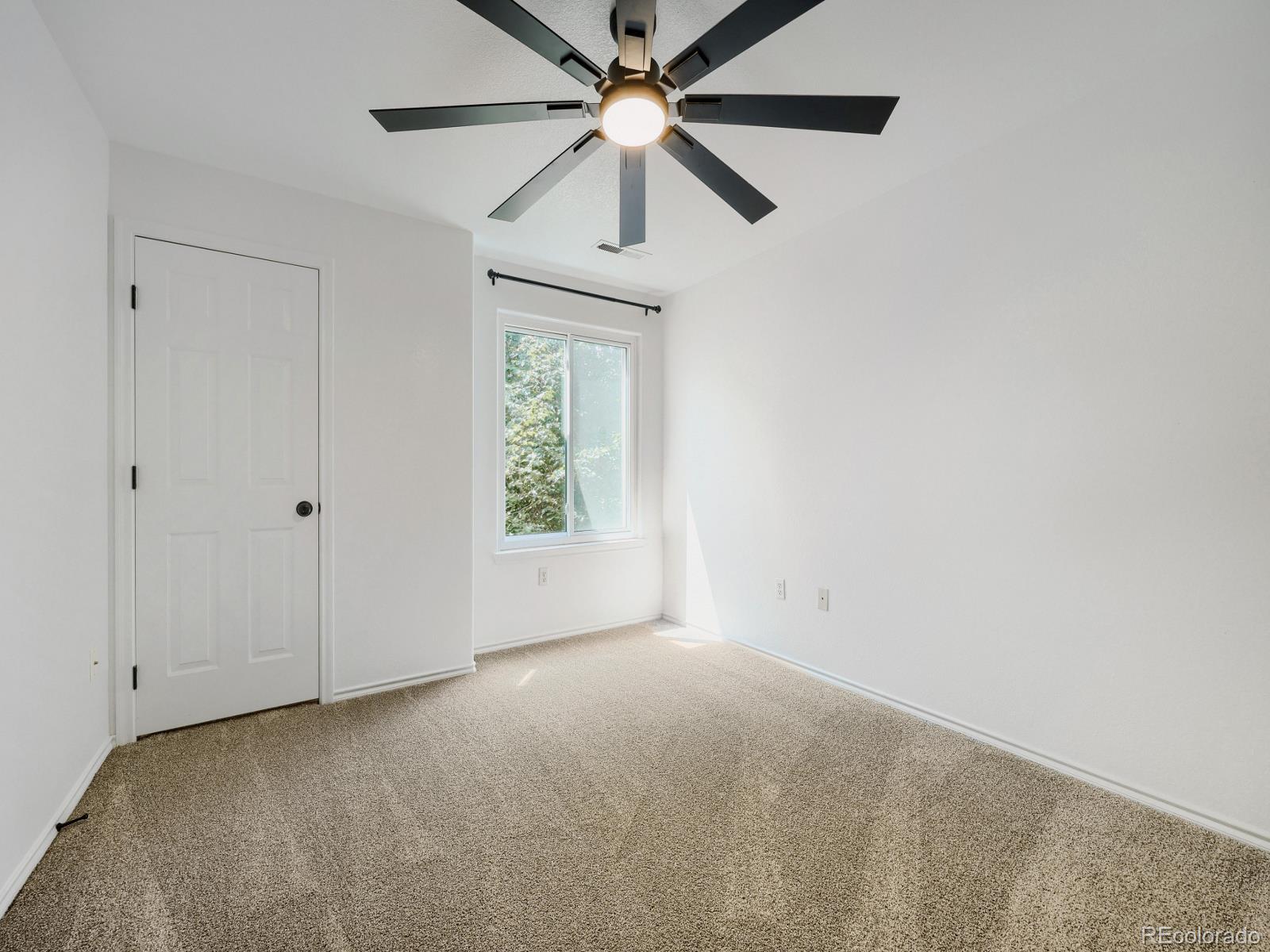 MLS Image #19 for 3928  riviera grove,colorado springs, Colorado
