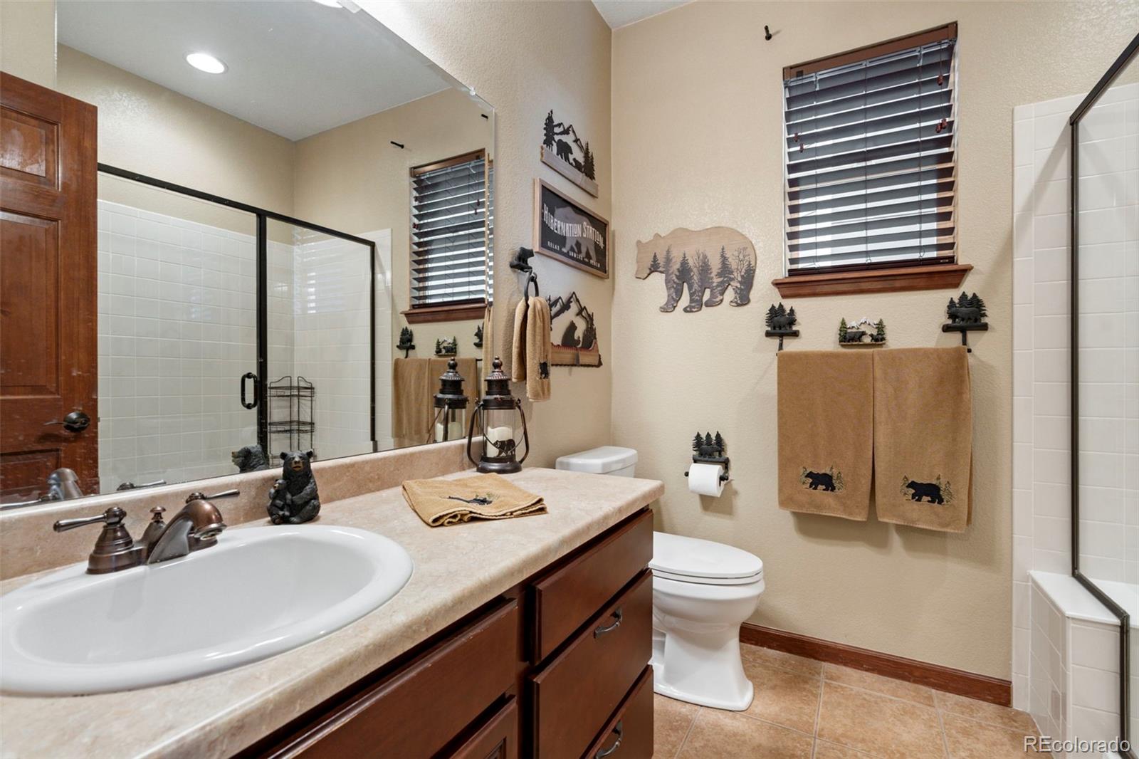 MLS Image #14 for 11569 s flower mound way,parker, Colorado