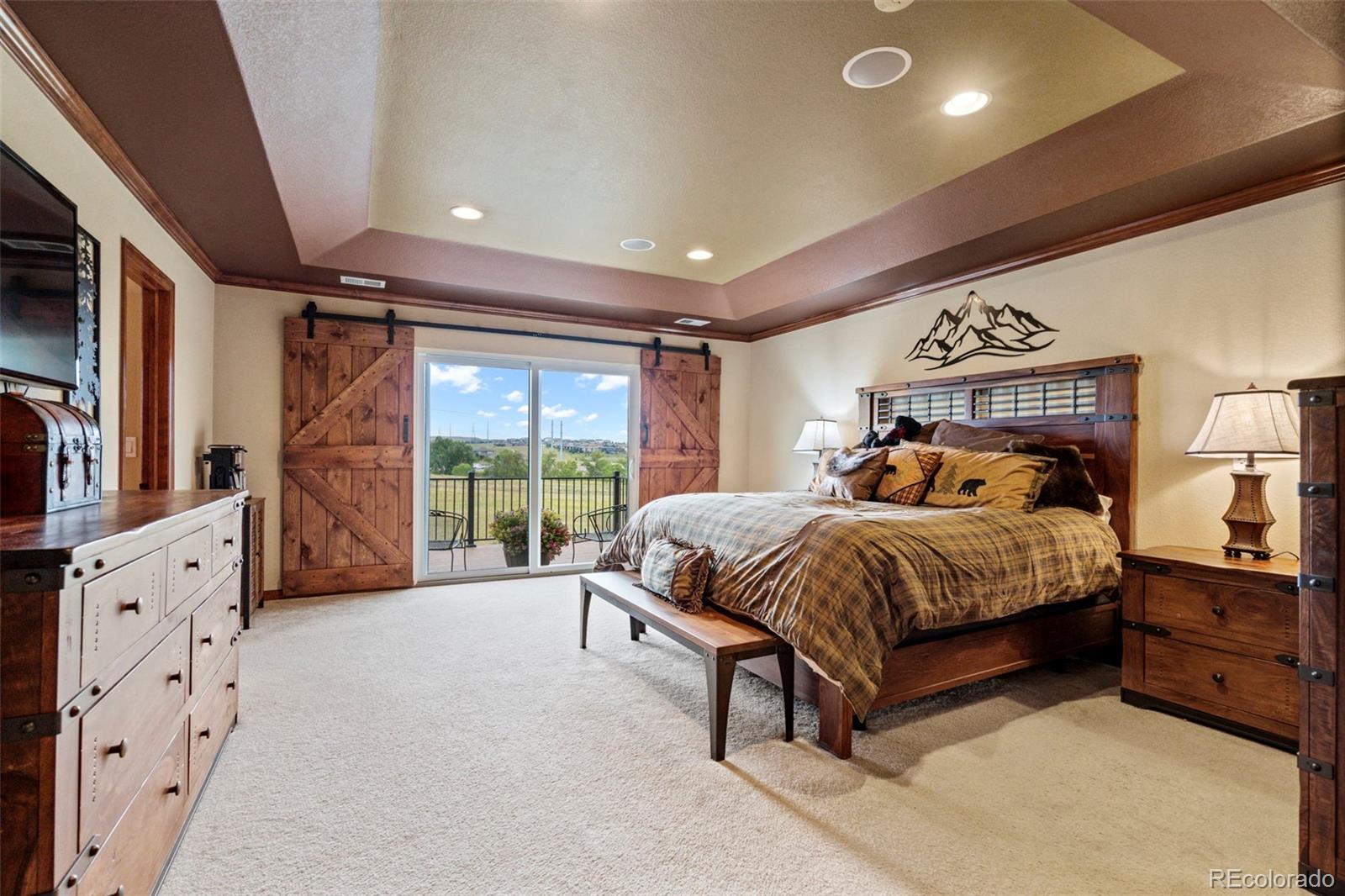MLS Image #19 for 11569 s flower mound way,parker, Colorado