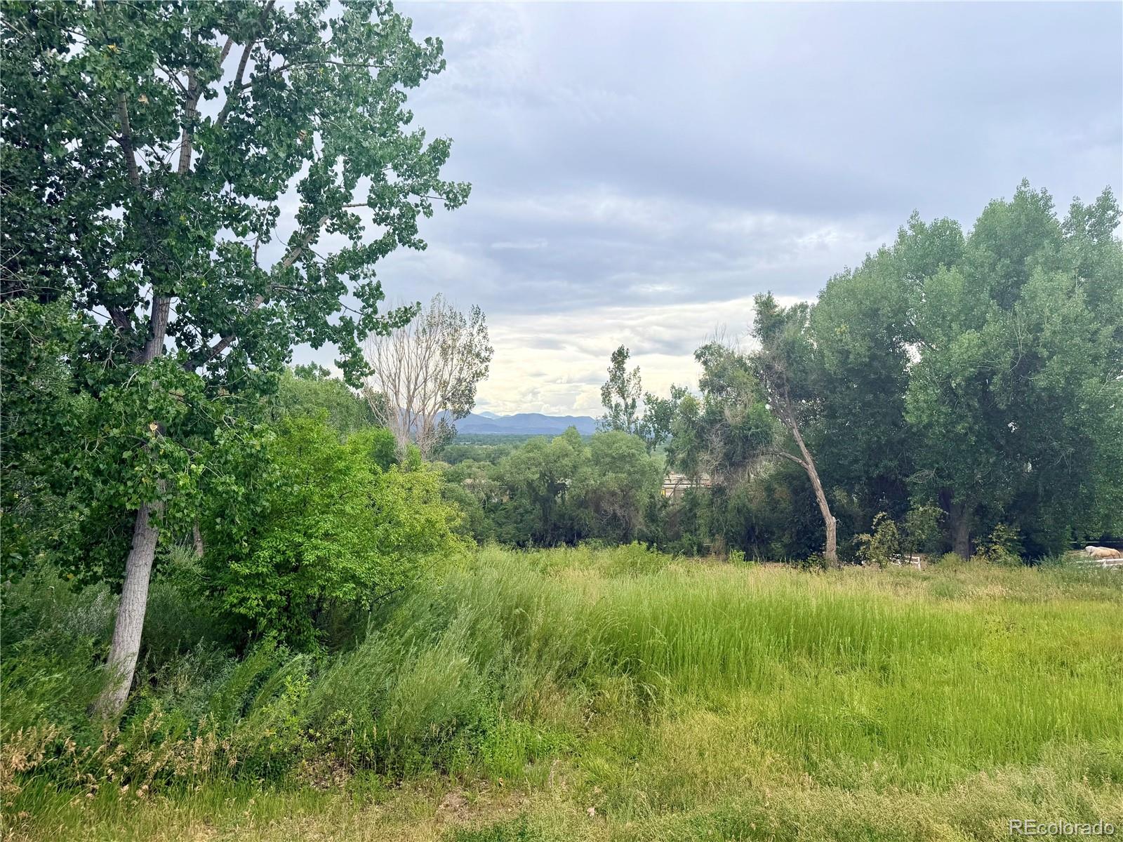 MLS Image #5 for 2906 w long circle,littleton, Colorado