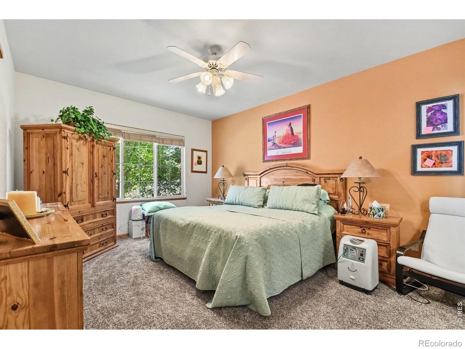 MLS Image #10 for 2298  woody creek circle,loveland, Colorado