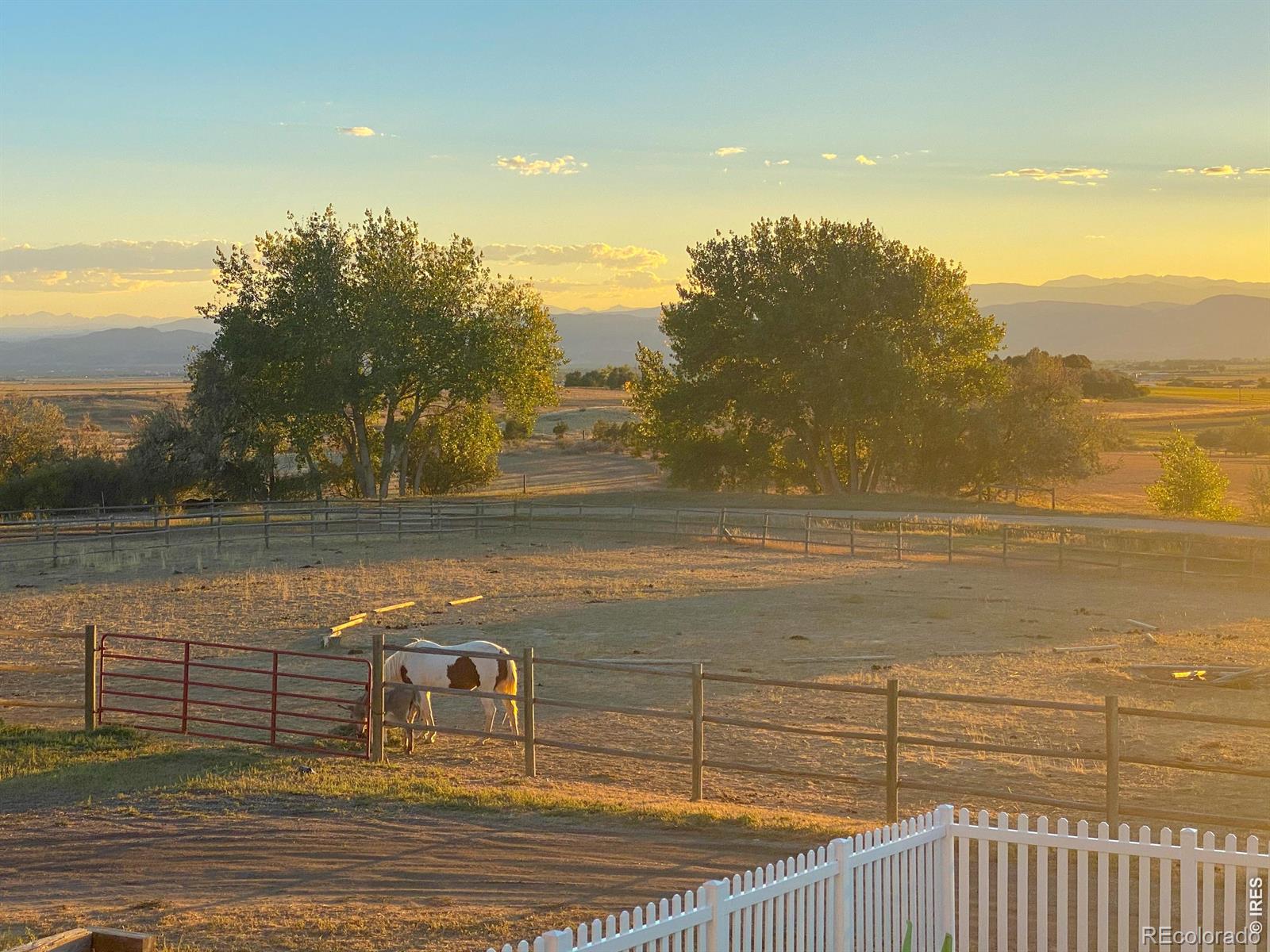MLS Image #48 for 6607 e county road 60 ,fort collins, Colorado