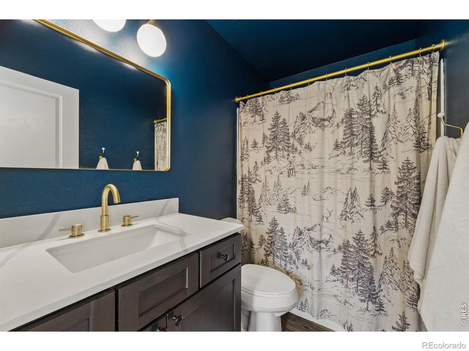 MLS Image #19 for 2786  tallgrass lane,berthoud, Colorado