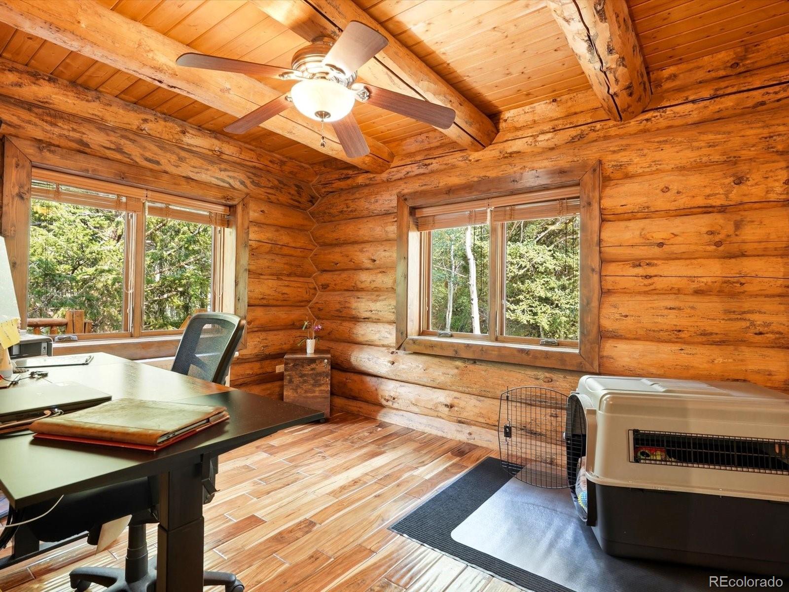 MLS Image #18 for 74  silver lode circle,dumont, Colorado