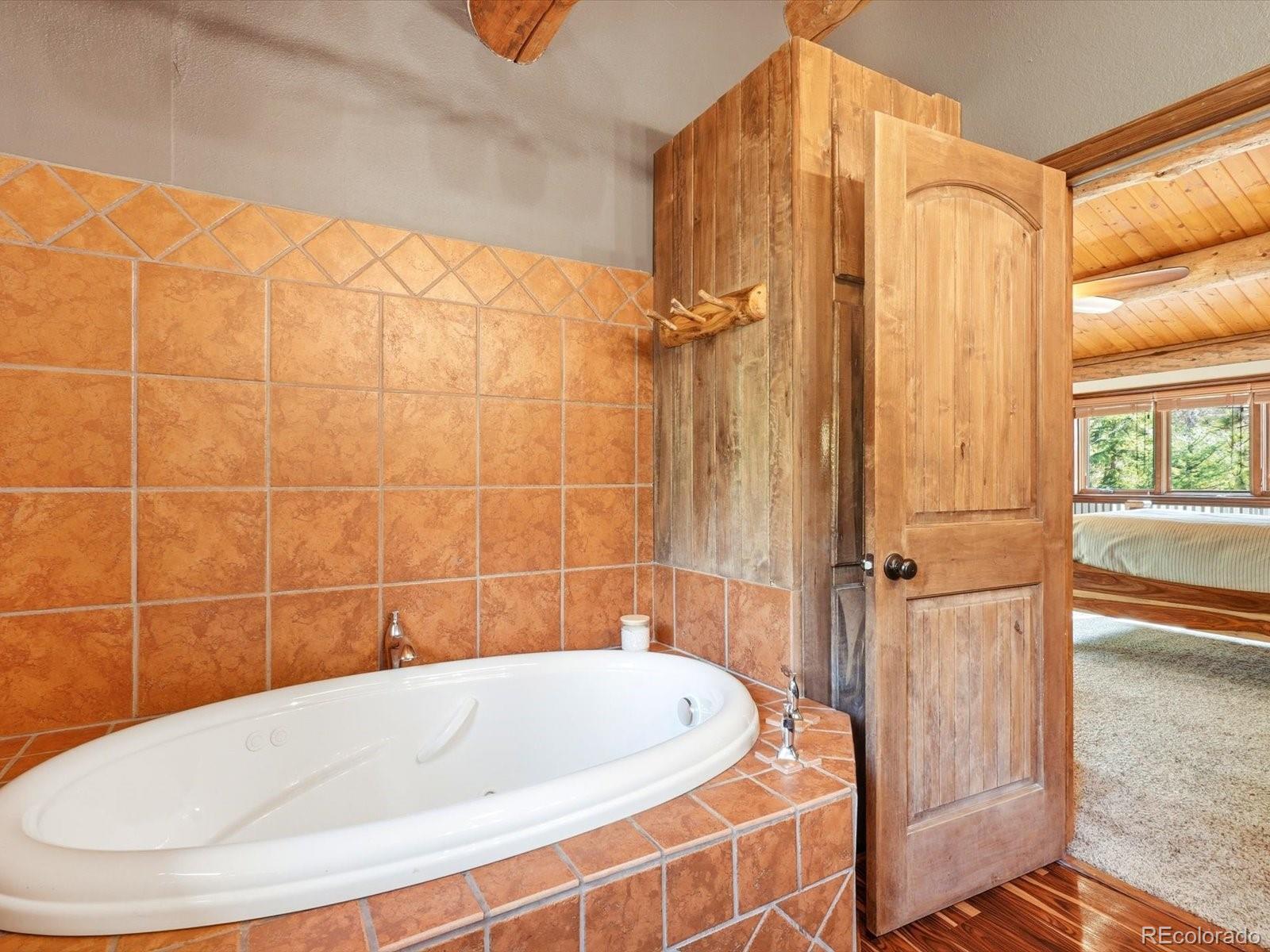 MLS Image #27 for 74  silver lode circle,dumont, Colorado