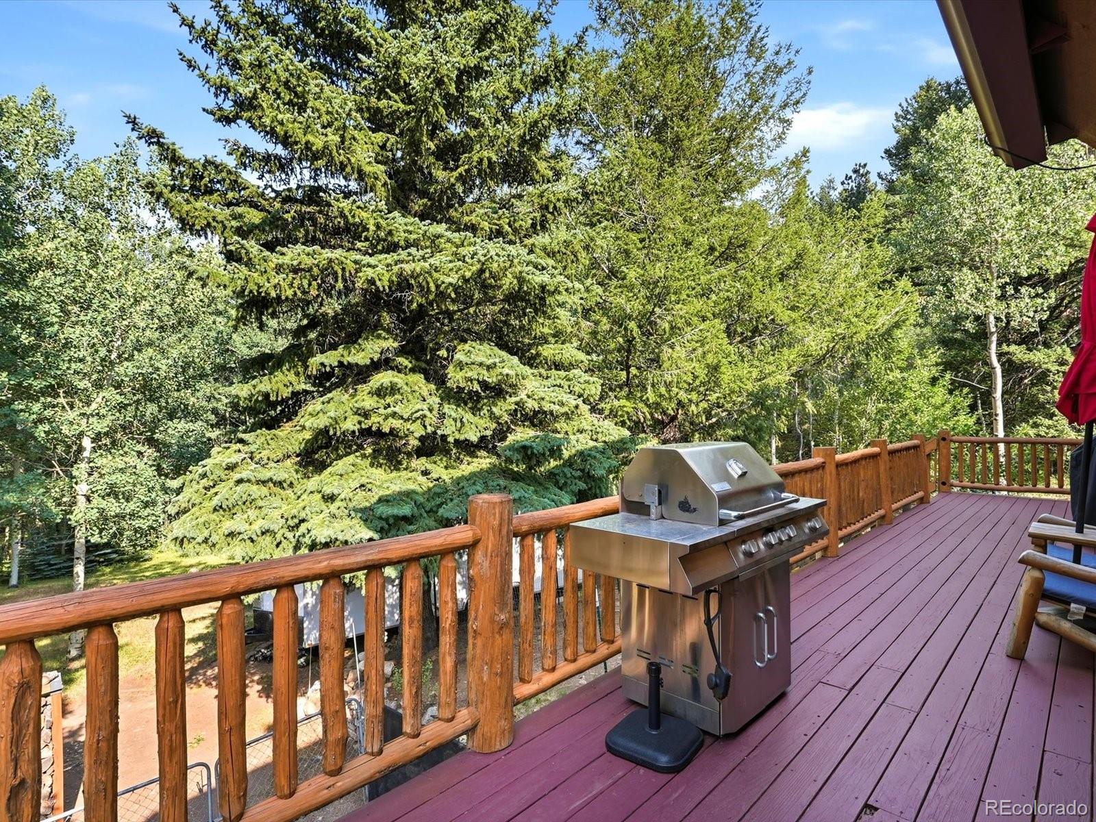 MLS Image #35 for 74  silver lode circle,dumont, Colorado