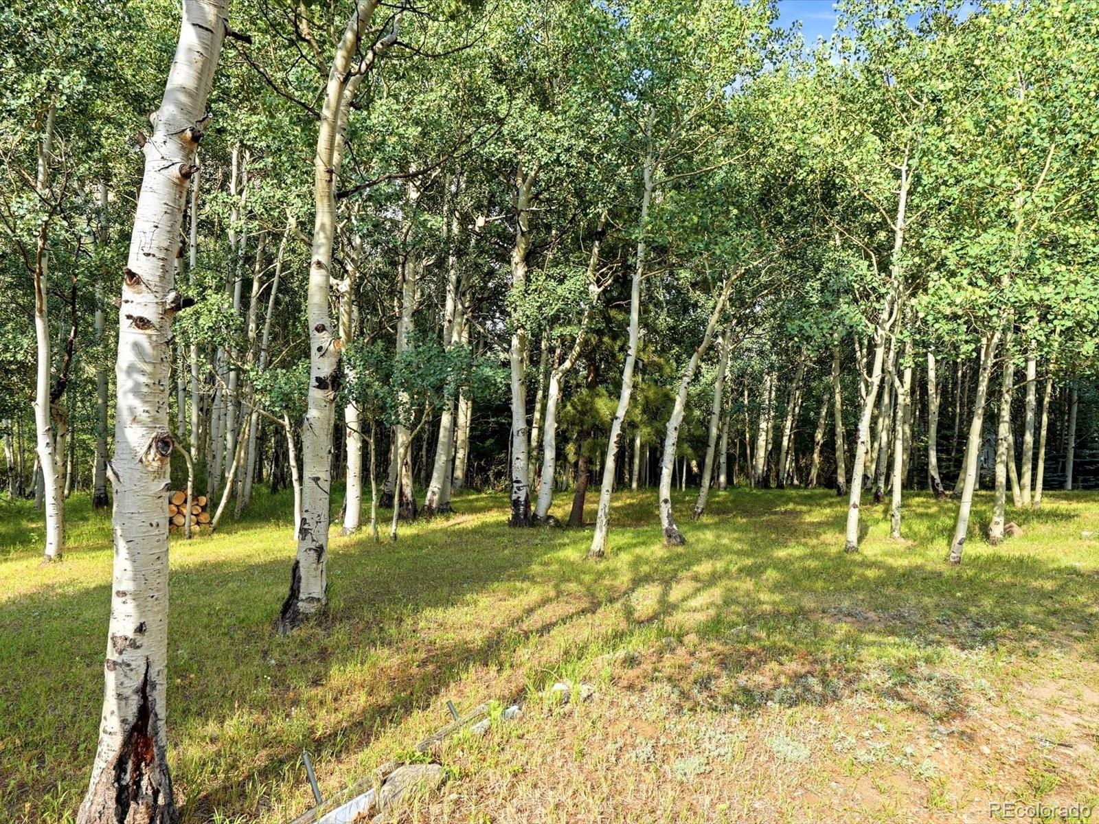 MLS Image #38 for 74  silver lode circle,dumont, Colorado
