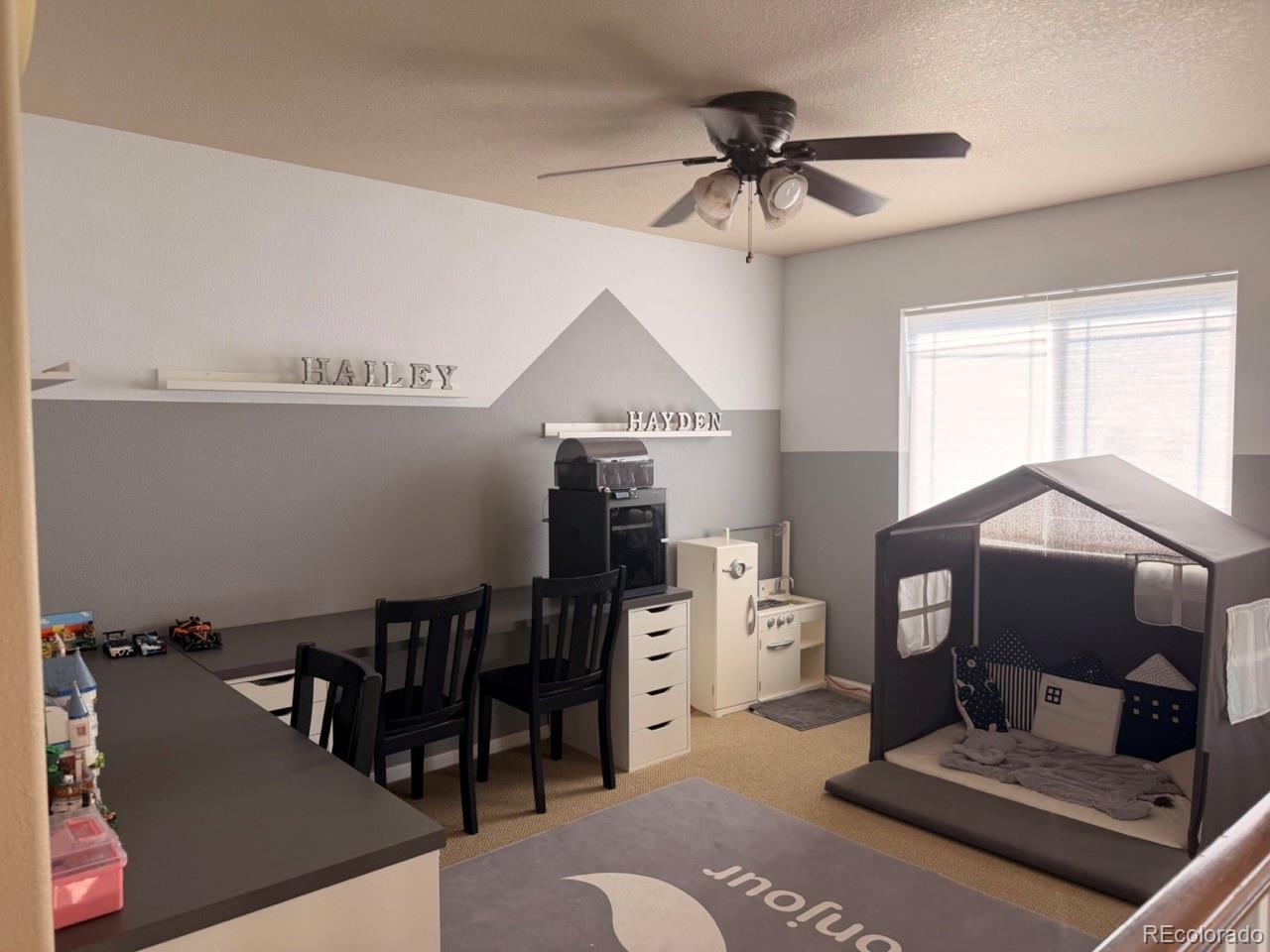 MLS Image #10 for 3908 s malta court,aurora, Colorado
