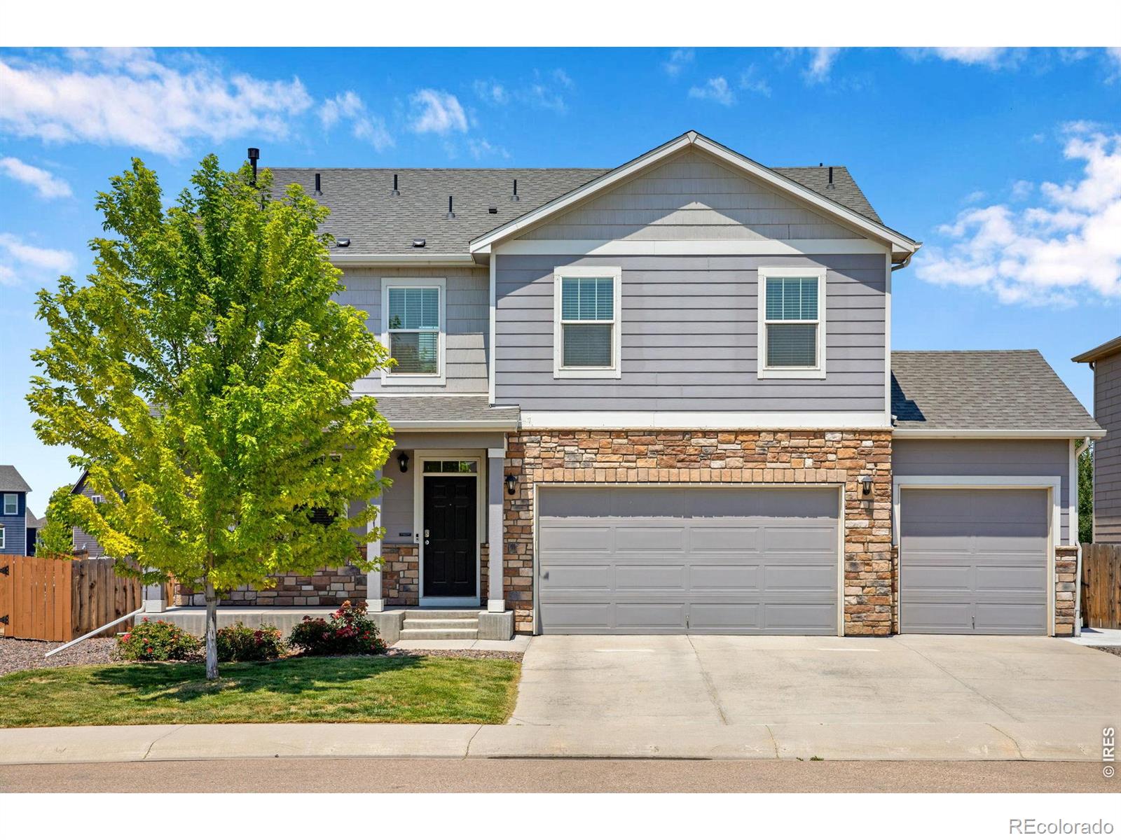 MLS Image #1 for 912  charlton drive,windsor, Colorado